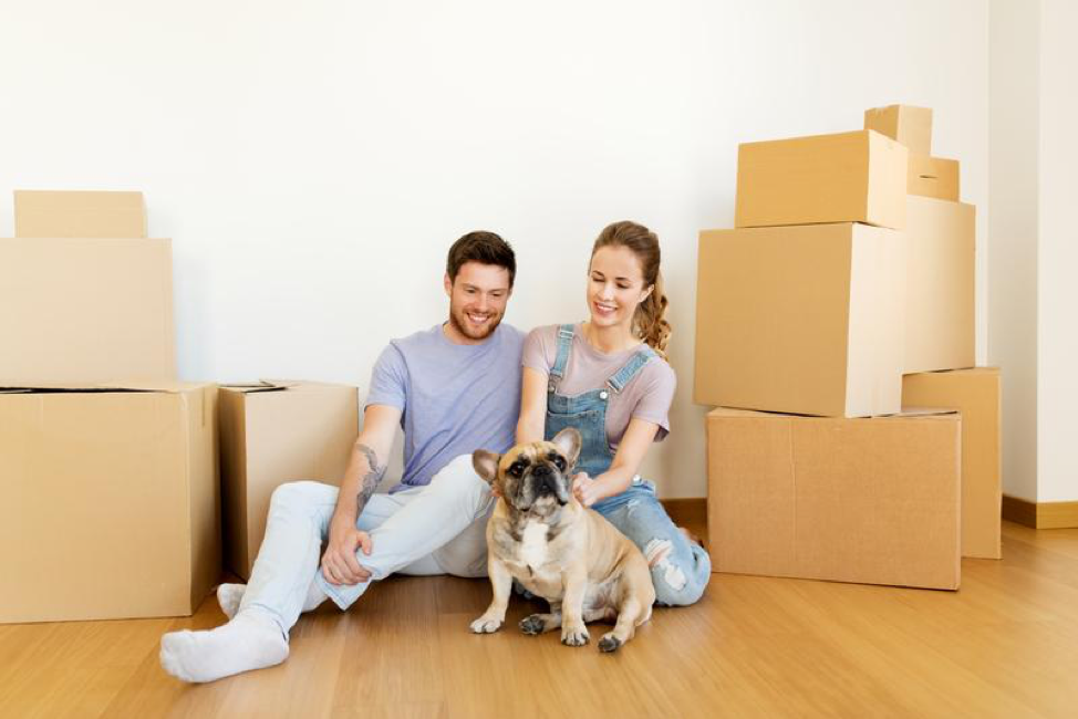 3 Ways to Help Your Pet Cope While Moving House - Tether Tug
