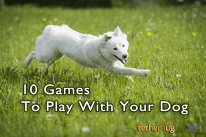 Fetch Play, Earn Points for Playing Games