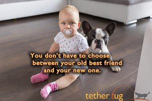 Survival Guide: Your New Baby And Your Dog - Tether Tug