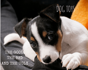 Dog Toys, the Good, the Bad, and the Ugly - Tether Tug