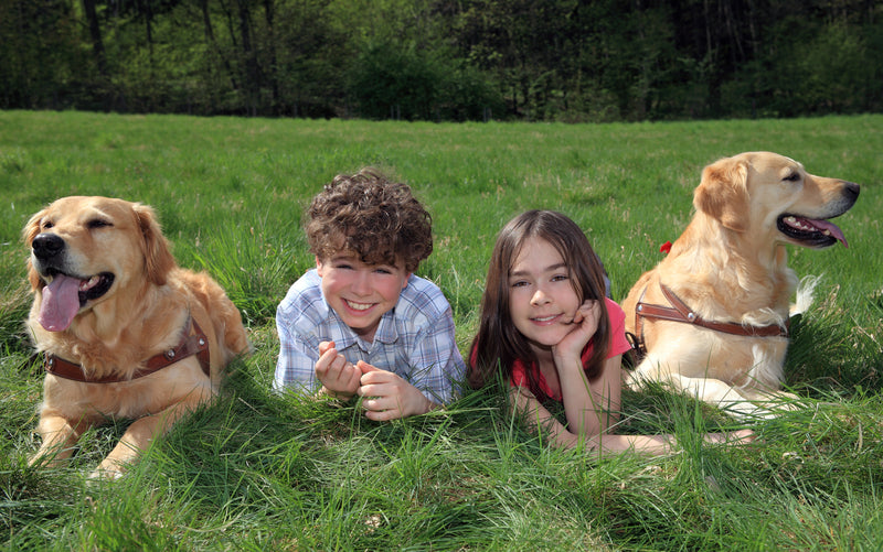 How to Help Your Children and Your Pets Play Well Together - Tether Tug