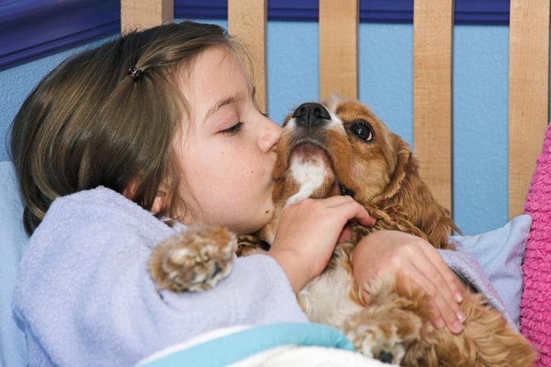 What Factors to Keep in Mind When Getting a Puppy for Your Kids - Tether Tug