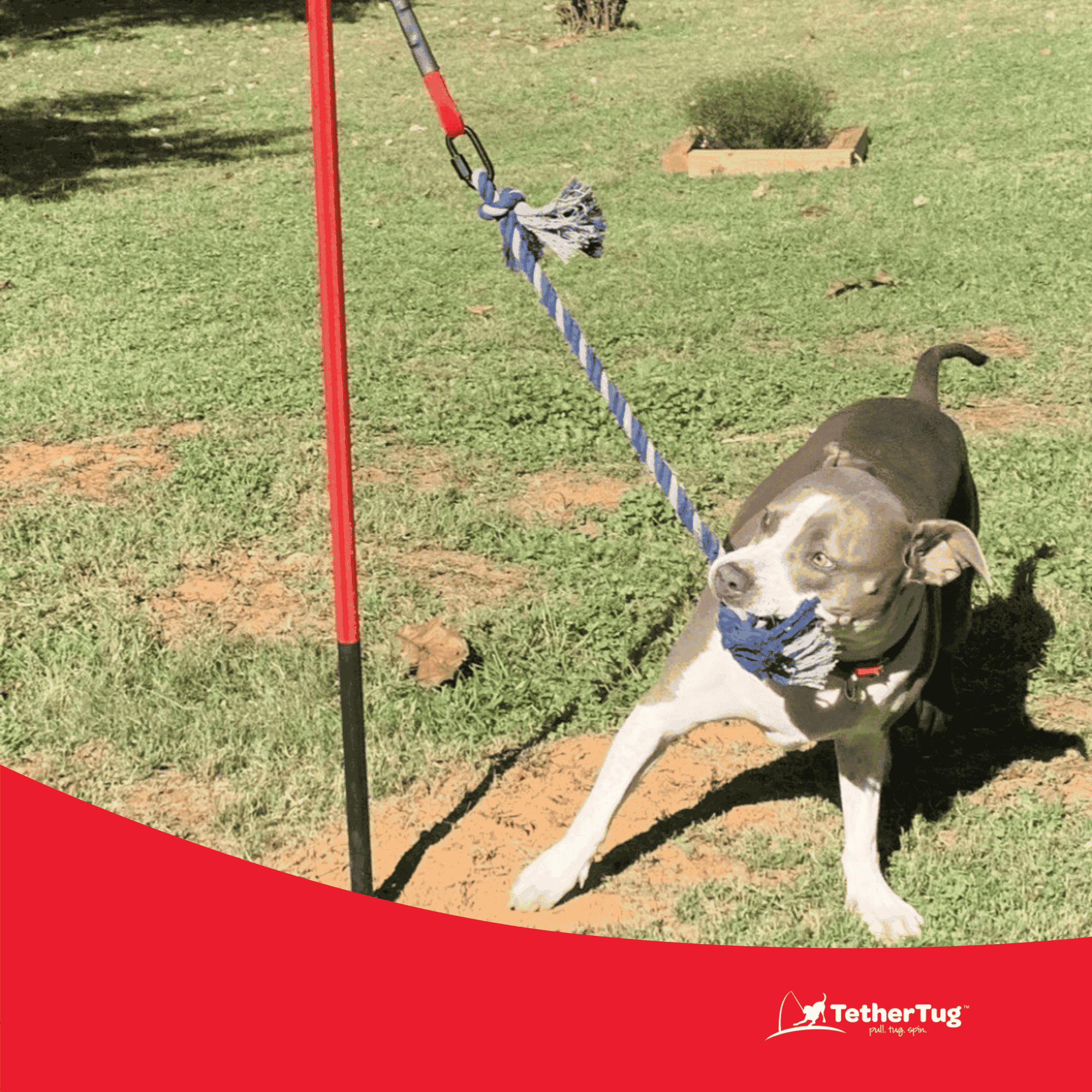 Tether Tug Heavy Duty