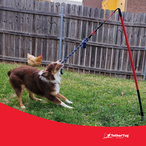 25 Off Tether Tug Toys Attachments