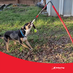 Tether tug best sale coupon