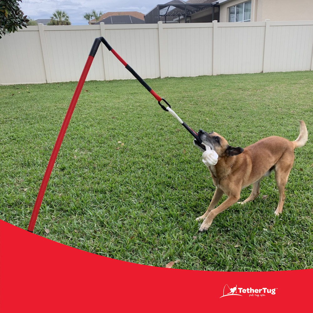 Diy tether tug dog toy outlet