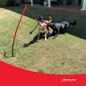 Interactive Tug Toy for Dogs Outdoor Dog Toy Tether Tug