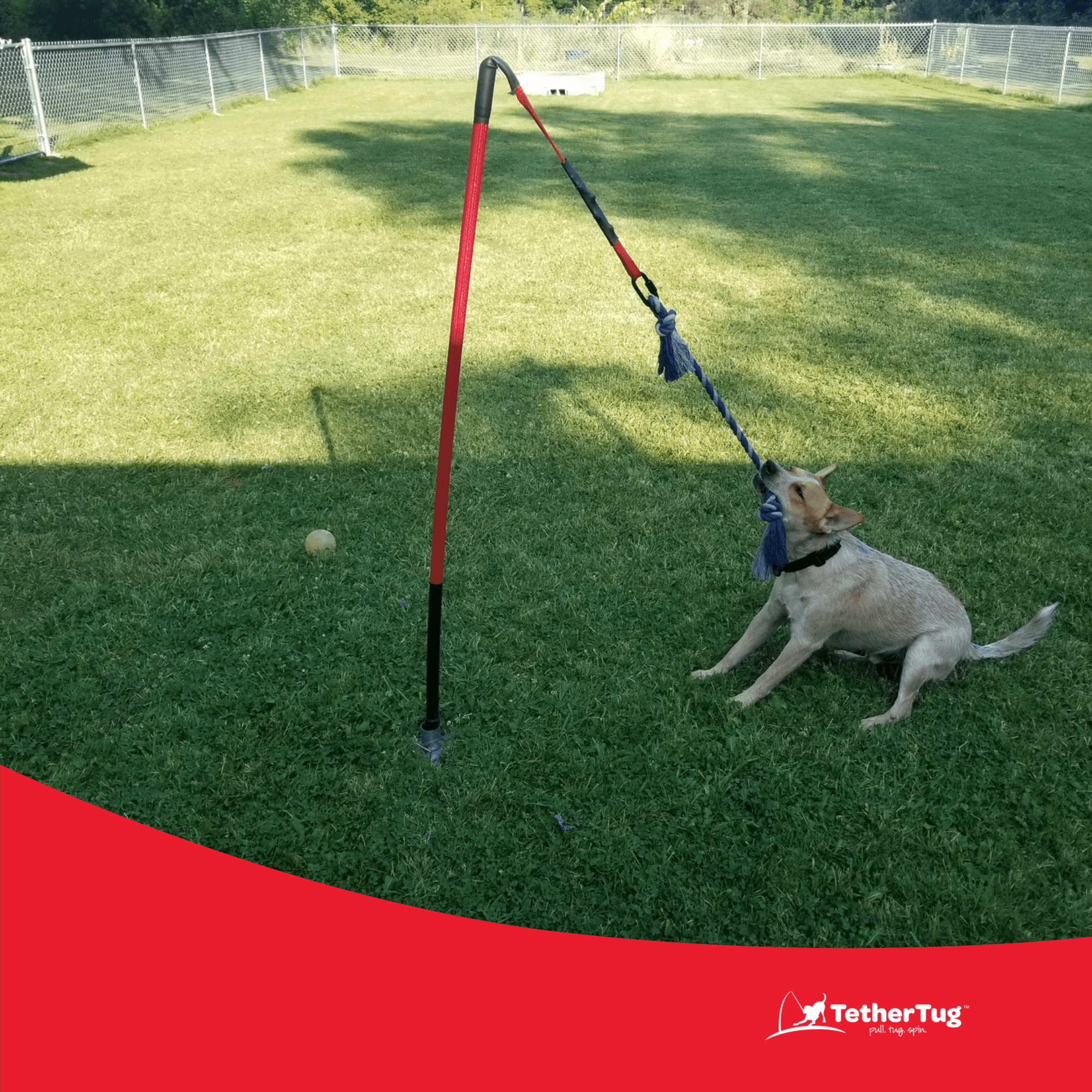 Outdoor Tether Tug Toy for Large Dogs