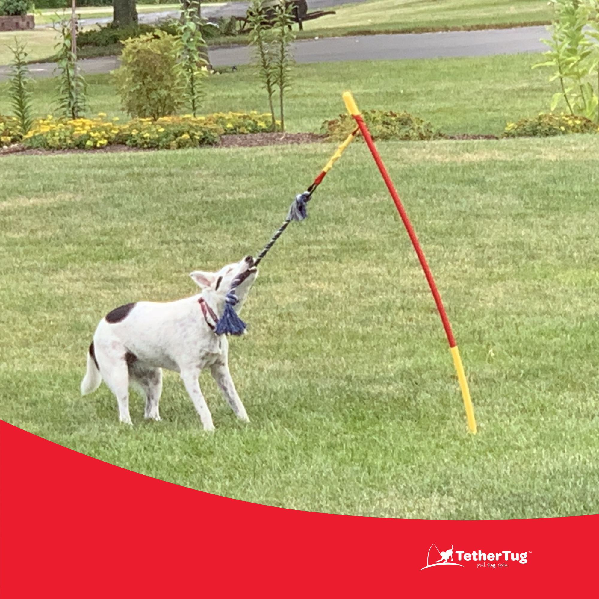 Interactive Tug Toy for Dogs Outdoor Dog Toy Tether Tug