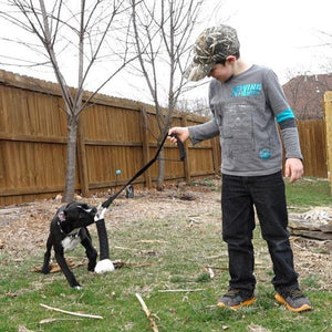 Easy Tug Handheld Tug Toy with One Attachment - Tether Tug