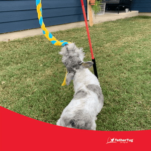 Tether sales tug installation