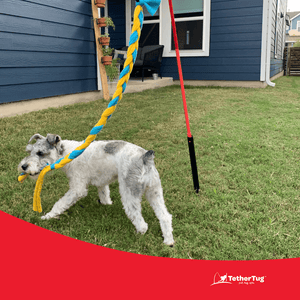 Tether Tug V2 Outdoor Dog Interactive Toy Tugging Pull Exercise 5