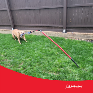 Outdoor Dog Toys Medium Tether Tug Outdoor Dog Tug Toy For Under