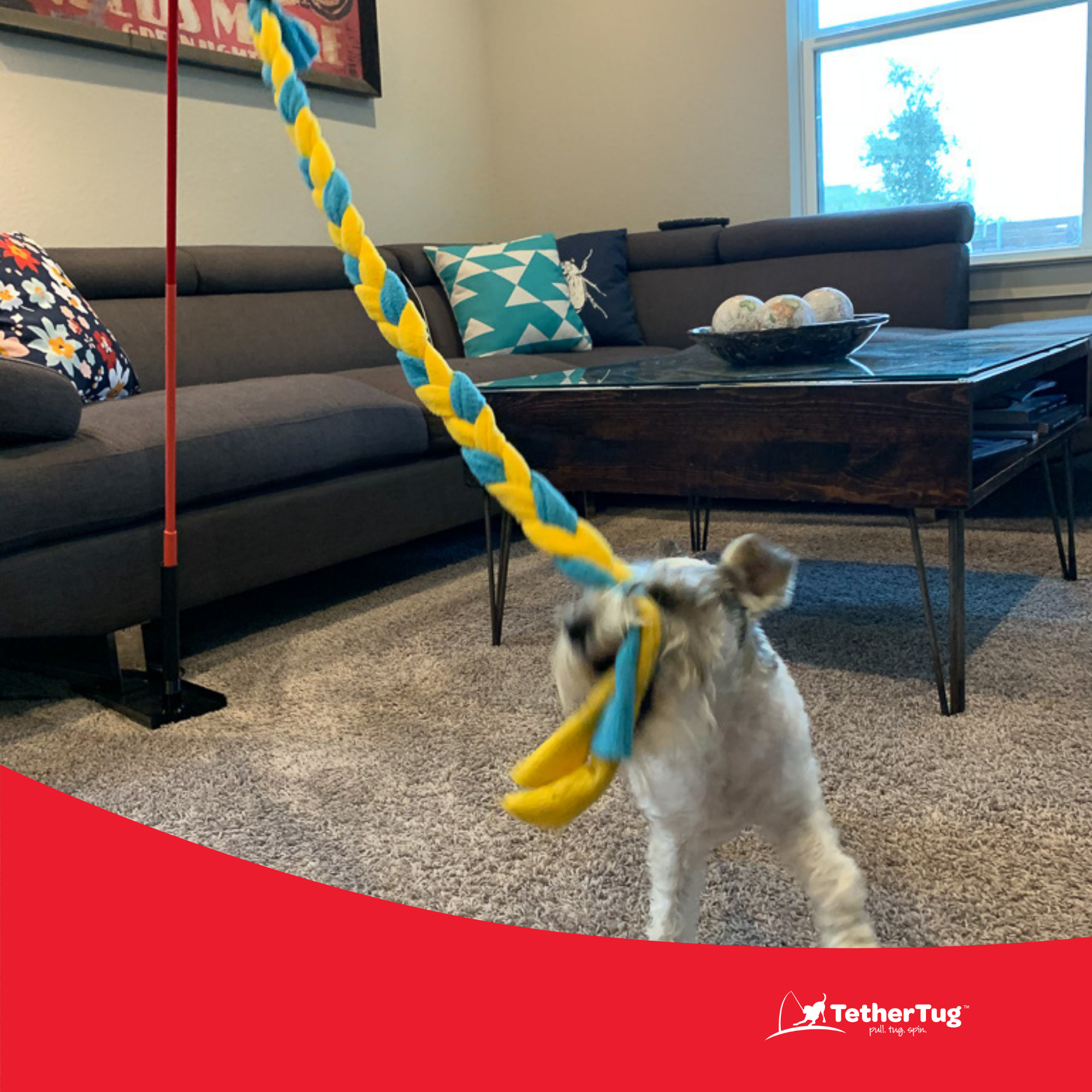 Tether tug dog sales toy