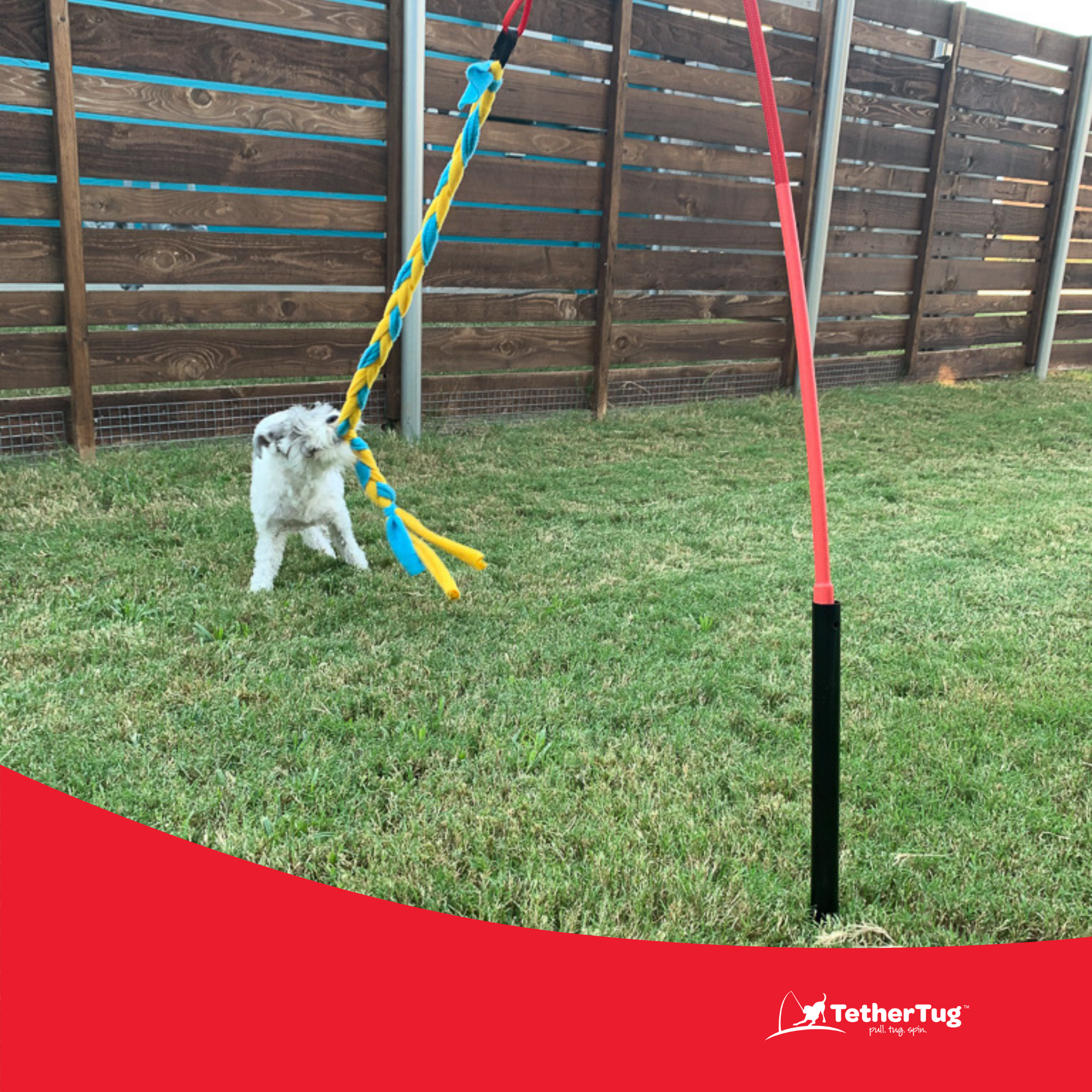 Fun Interactive Dog Toy for Small Dogs Puppies Tether Tug