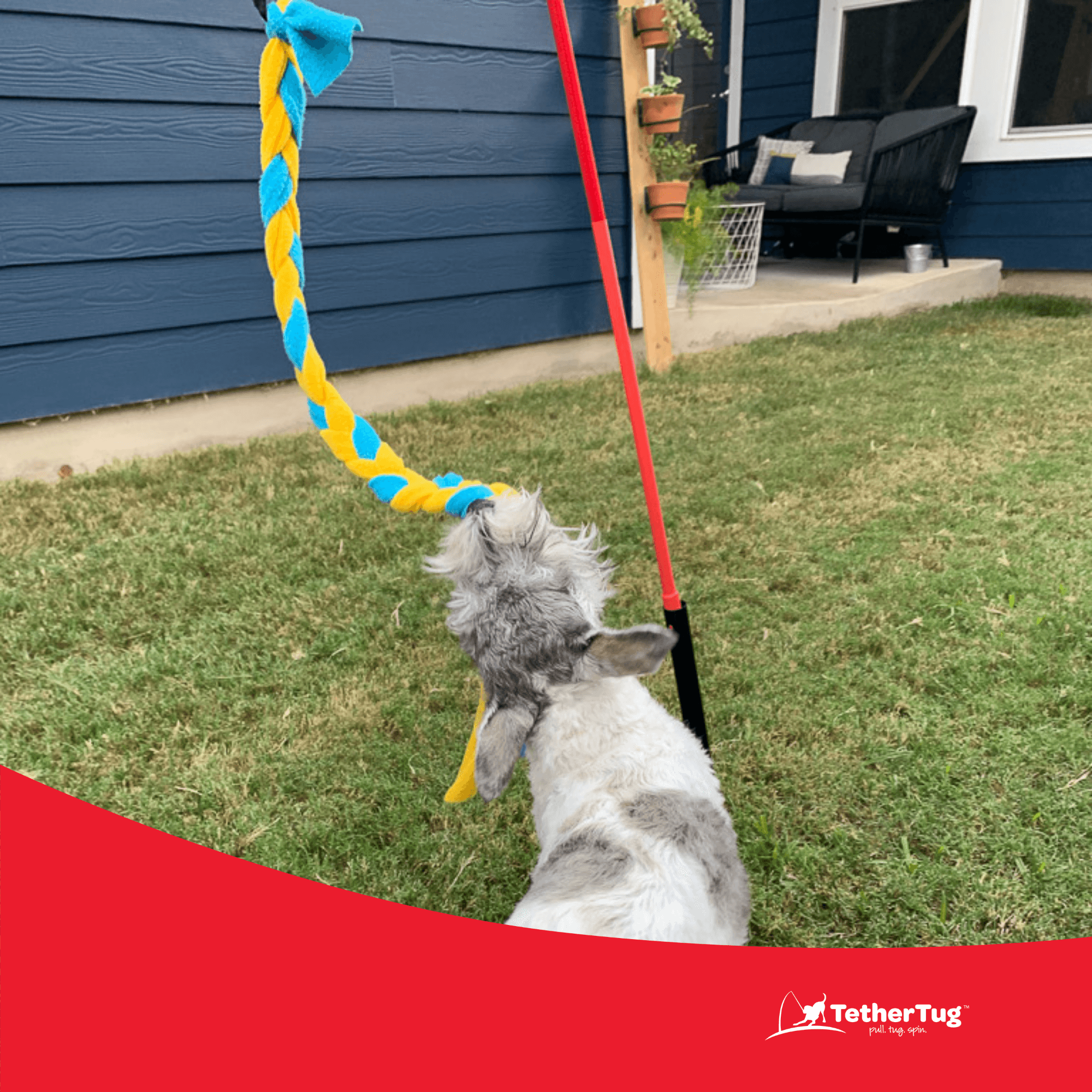 Tether tug outdoor top dog toy diy