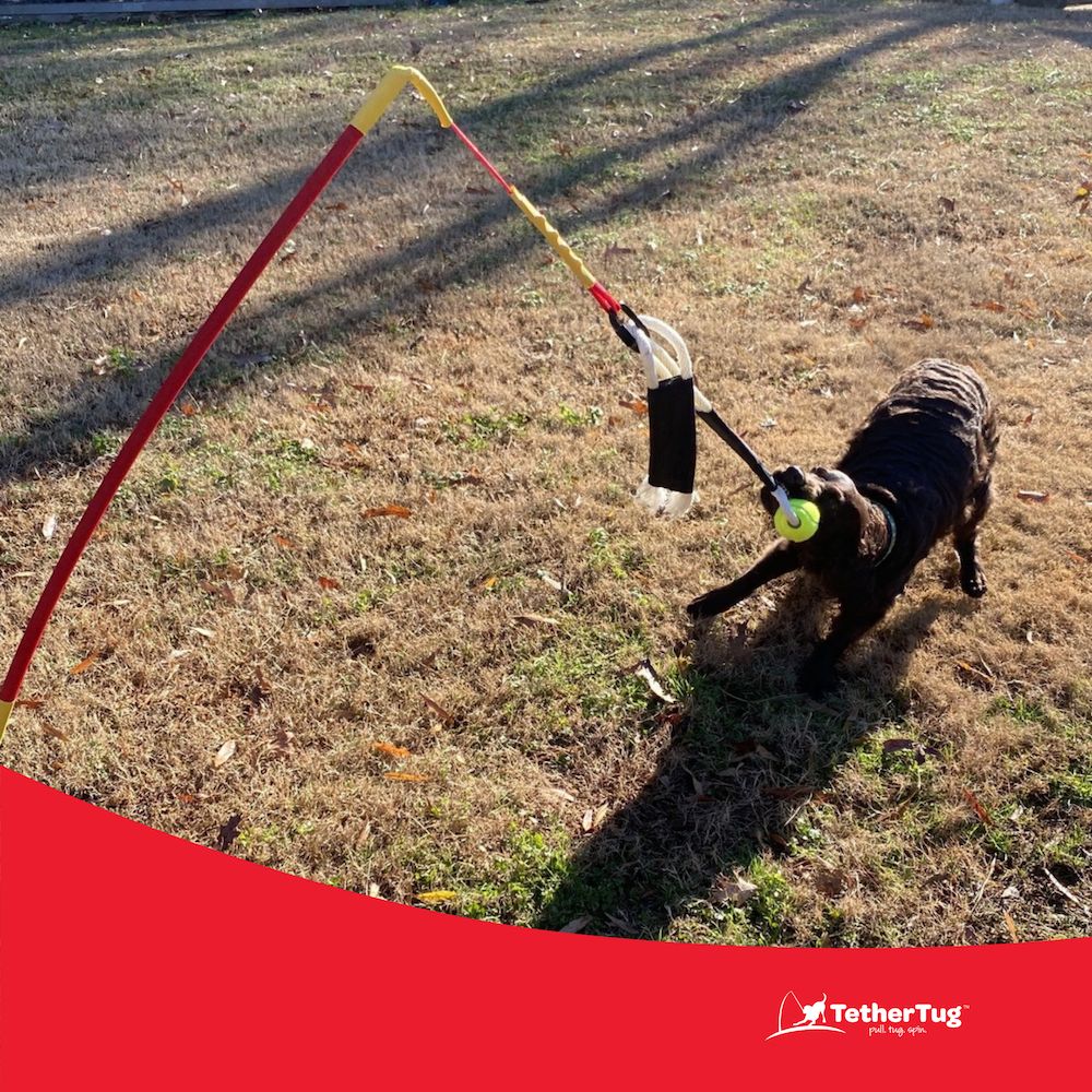 Bite Tug Dog Toy Outdoor Interactive Dog Toys Tether Tug