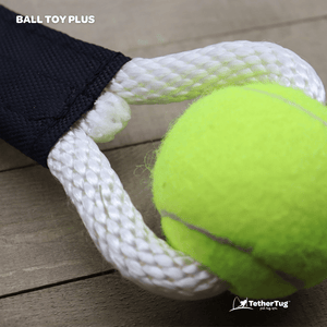 Ball Toy Plus - Tether Tug
