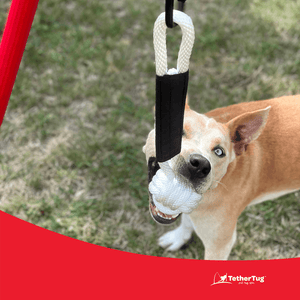 Monkey Fist Dog Toy for Tough Chewers Tether Tug